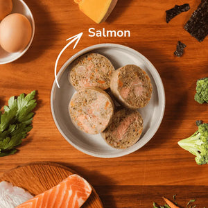 
            
                Load image into Gallery viewer, Adult Taster Pack - Salmon | Best Dog Food in Australia
            
        