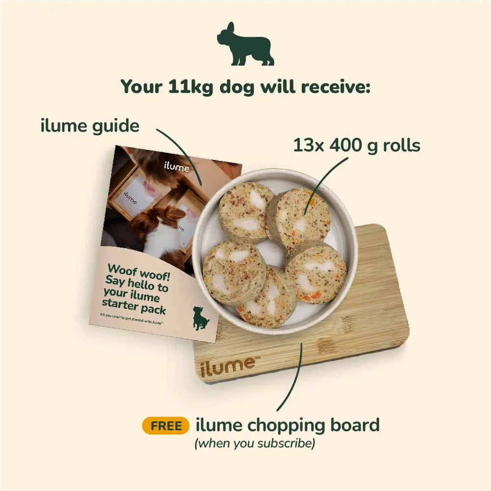 Fresh Dog Food Starter Pack for Your 11kg Dog | Best Dog Food in Australia