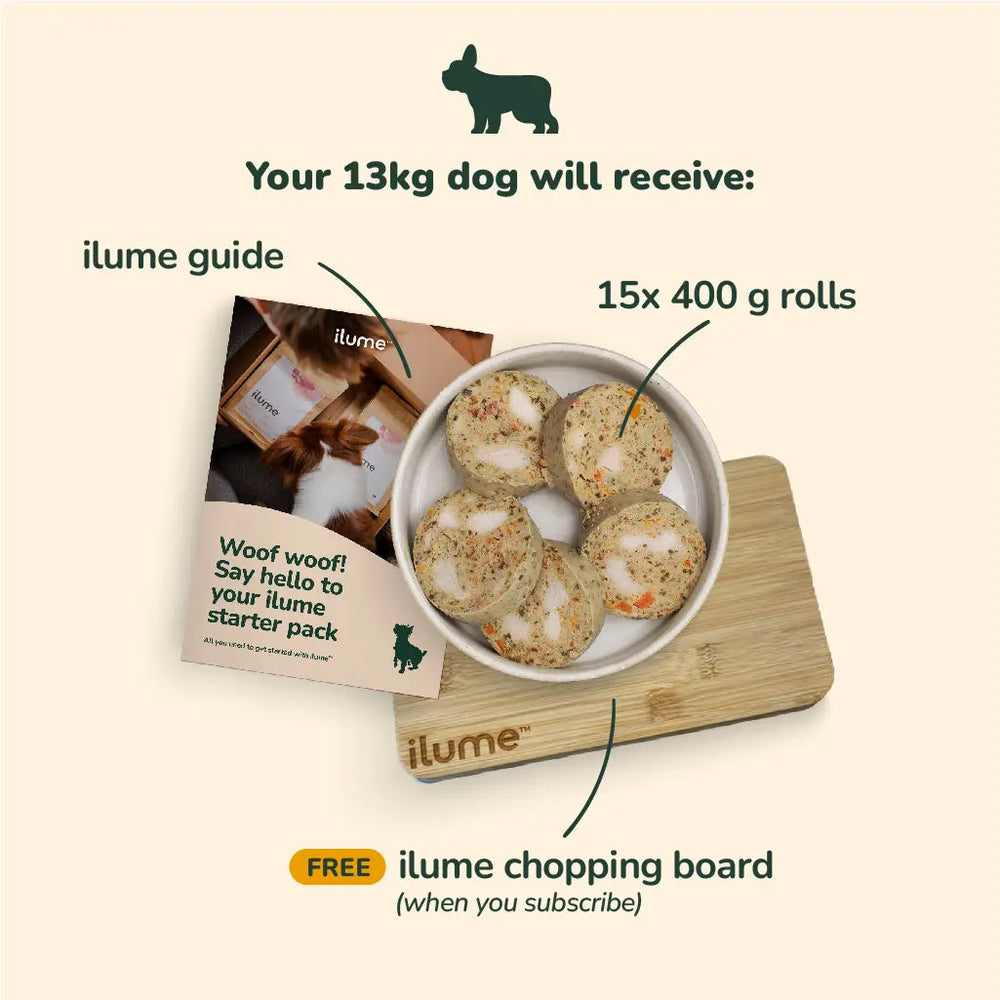 Fresh Dog Food Starter Pack for Your 13kg Dog | Best Dog Food in Australia