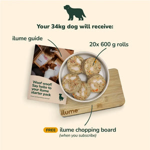 Fresh Dog Food Starter Pack for Your 34kg Dog | Best Dog Food in Australia