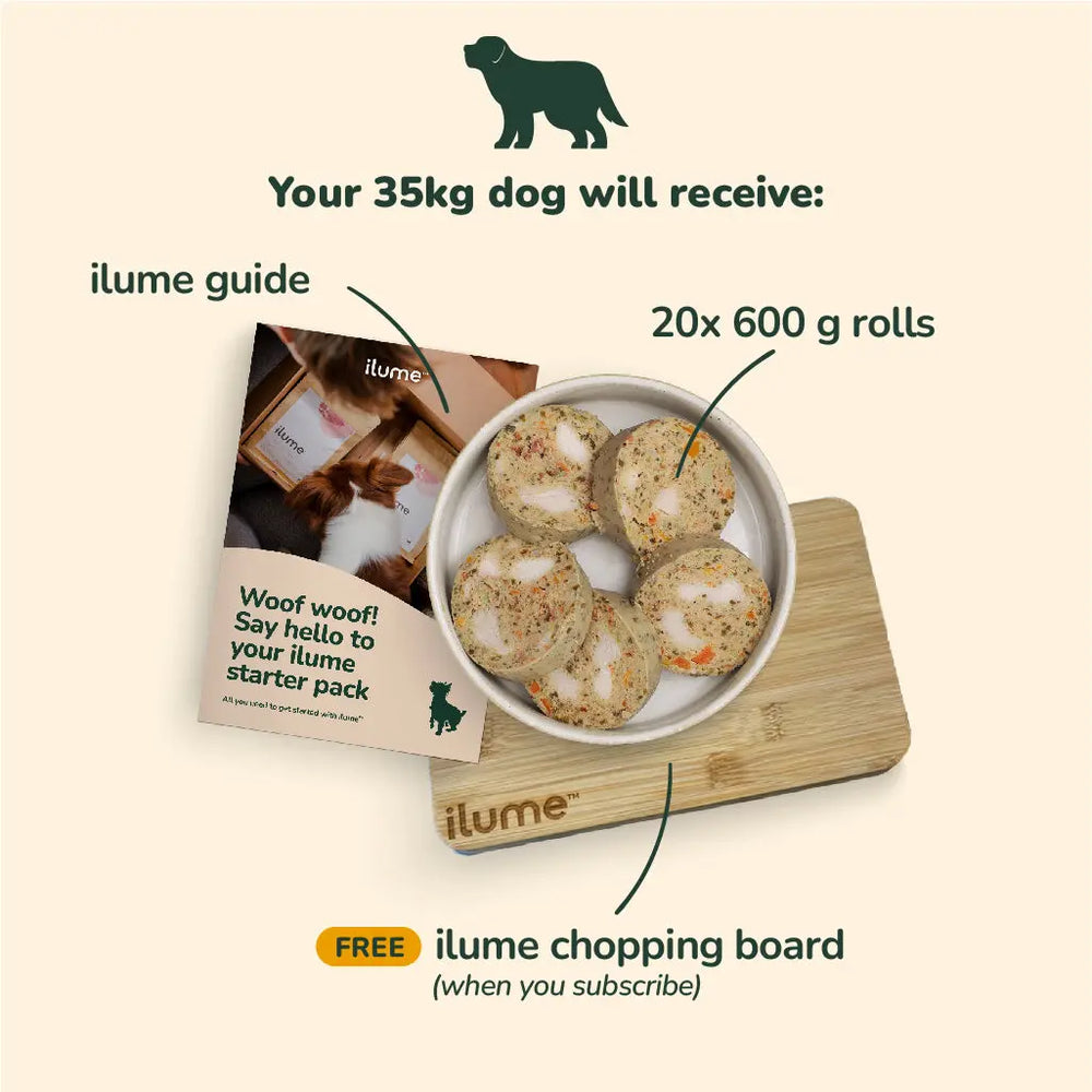 Fresh Dog Food Starter Pack for Your 35kg Dog | Best Dog Food in Australia