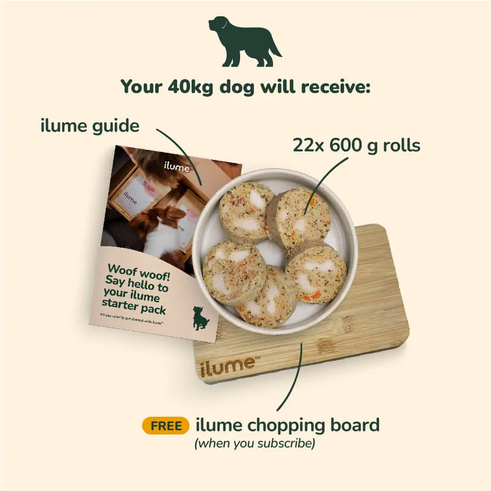 Fresh Dog Food Starter Pack for Your 40kg Dog | Best Dog Food in Australia
