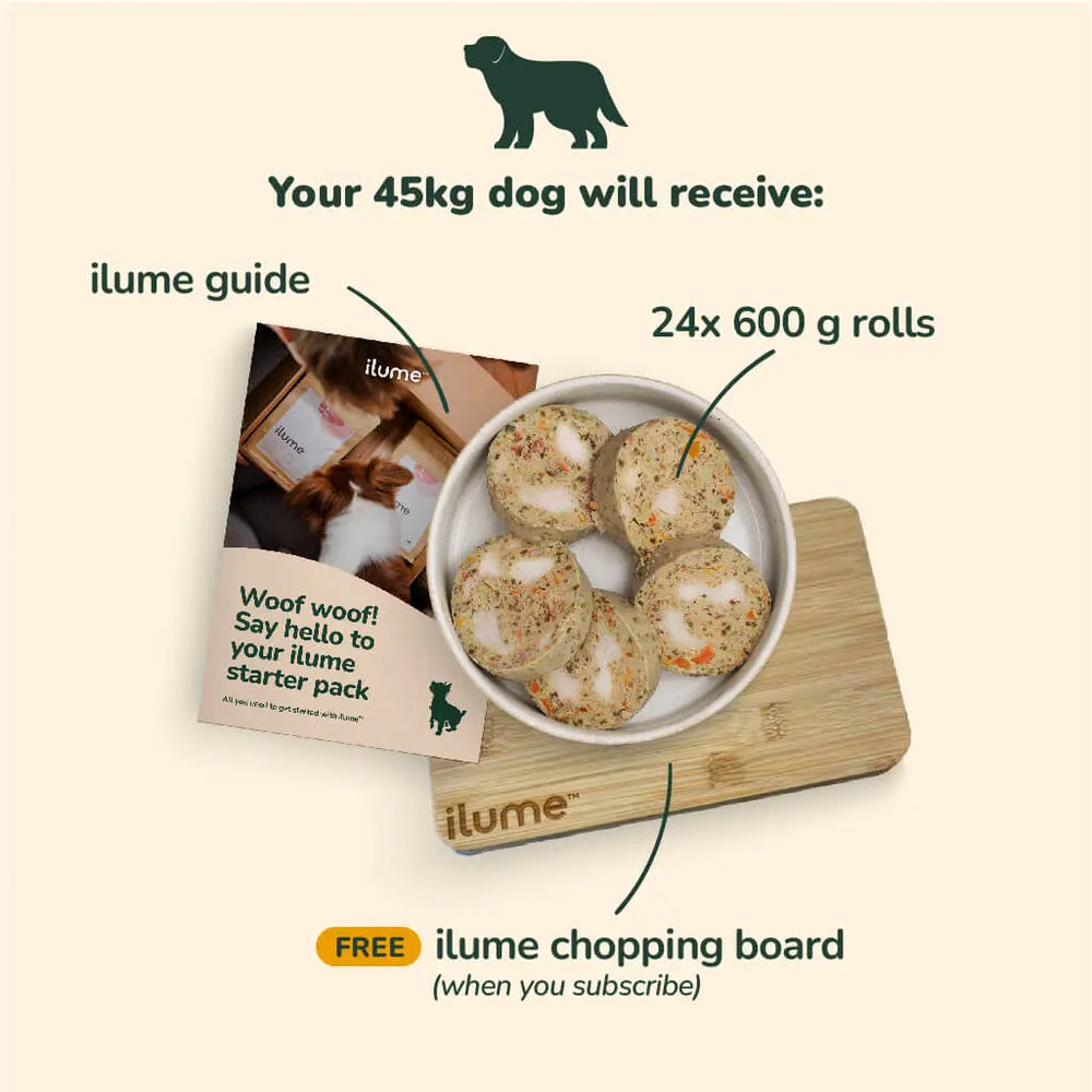 
            
                Load image into Gallery viewer, Fresh Dog Food Starter Pack for Your 45kg + Dog | Best Dog Food in Australia
            
        