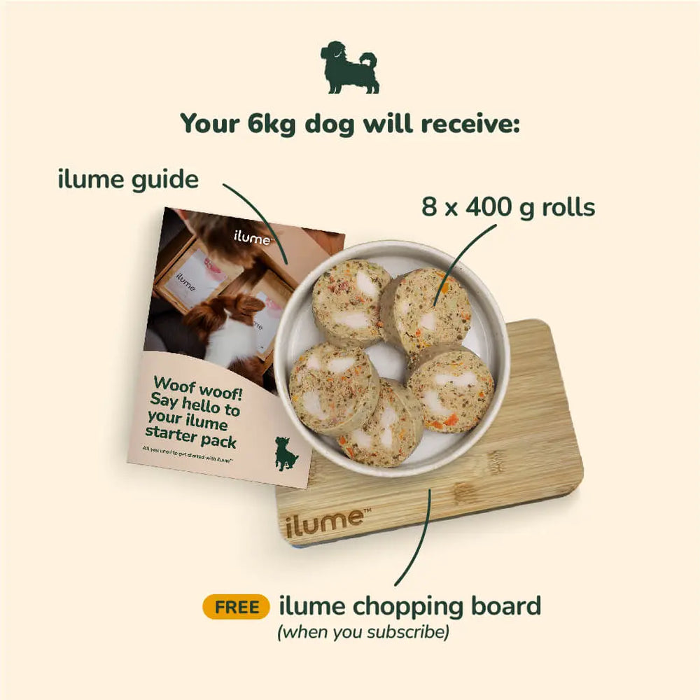 Fresh Dog Food Starter Pack for Your 6kg Dog | Best Dog Food in Australia