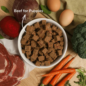 Puppy Taster Pack - Beef | Best Dog Food in Australia