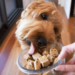 Salmon Meatloaf - Fresh Dog Food | Best Dog Food in Australia