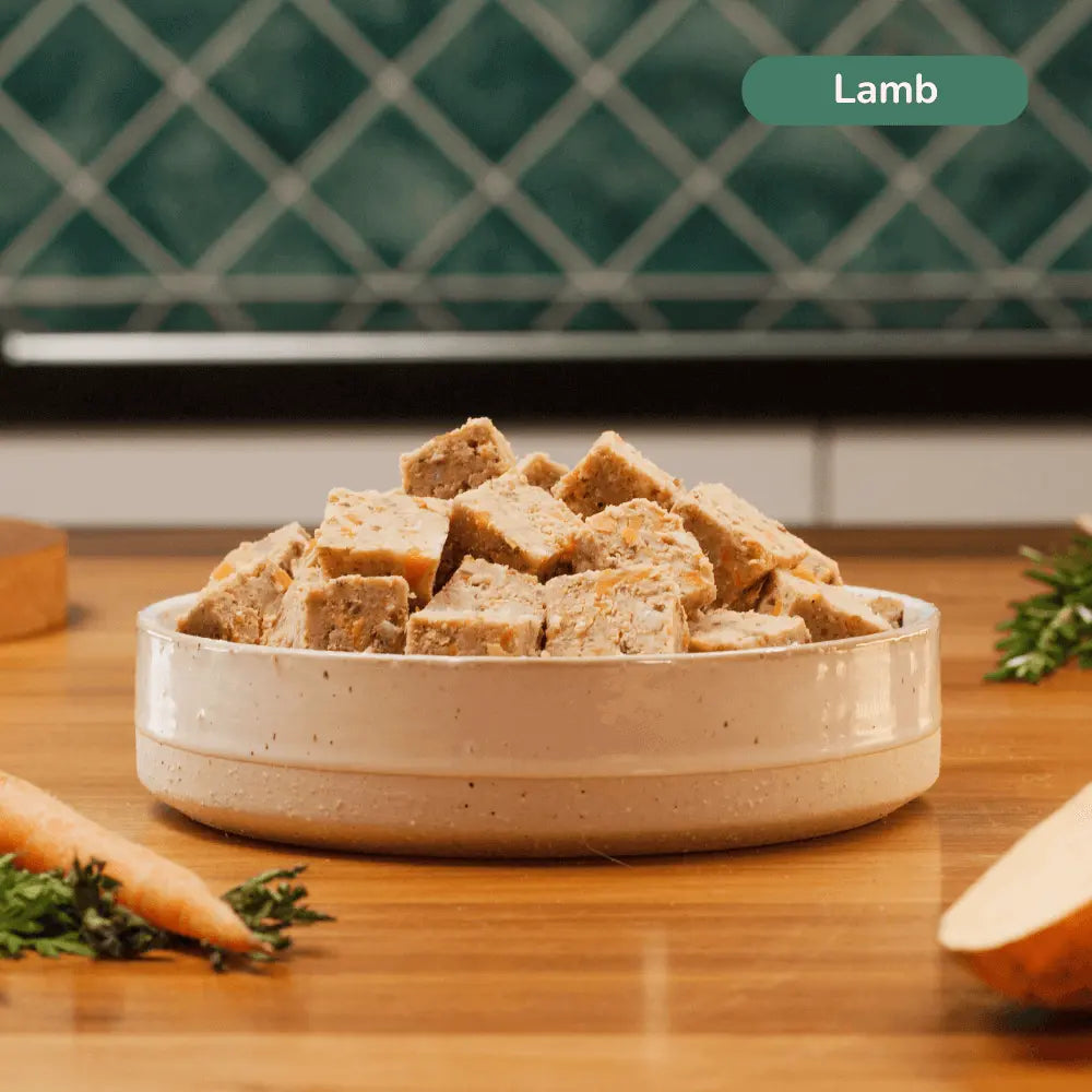 ilume Fresh Meatloaf Starter Pack for Your 10Kg Dog | Best Dog Food in Australia