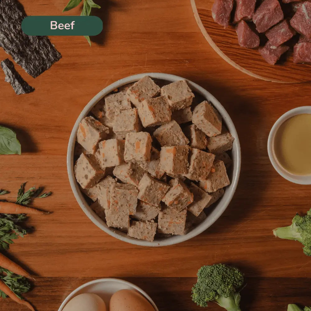 ilume Fresh Meatloaf Starter Pack for Your 16Kg Dog | Best Dog Food in Australia