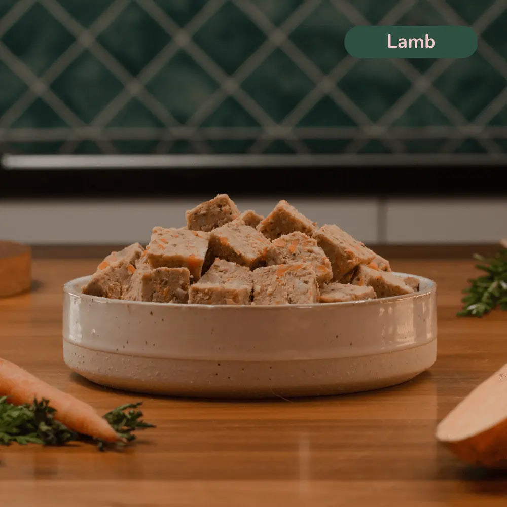 ilume Fresh Meatloaf Starter Pack for Your 3Kg Dog | Best Dog Food in Australia